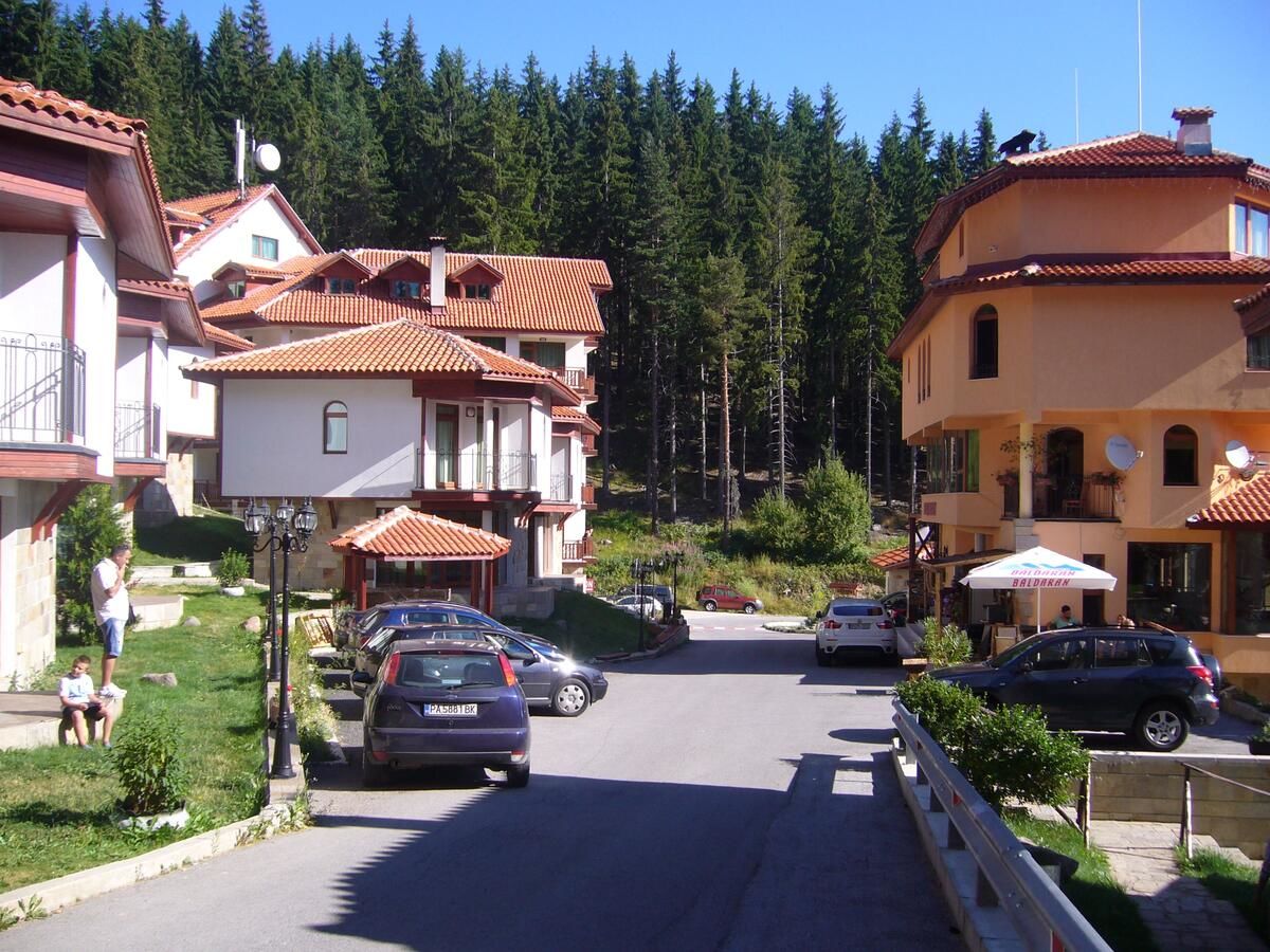 Шале Ski Villa in Pamporovo Forest Пампорово