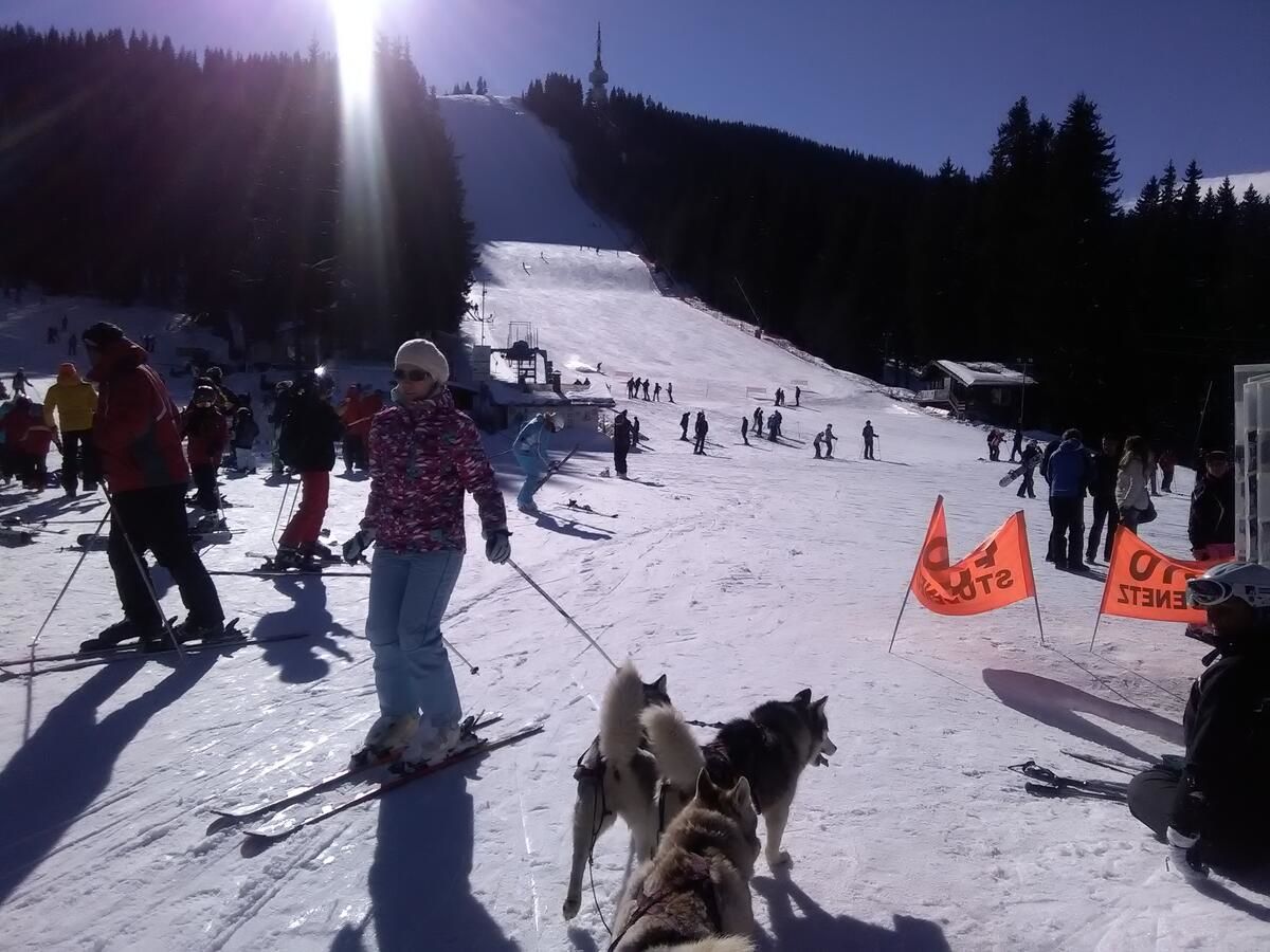 Шале Ski Villa in Pamporovo Forest Пампорово