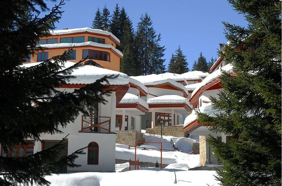Шале Ski Villa in Pamporovo Forest Пампорово
