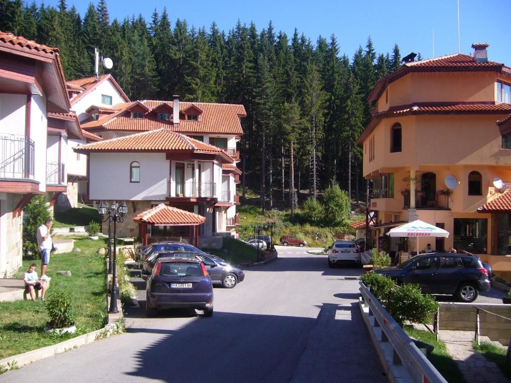 Шале Ski Villa in Pamporovo Forest Пампорово