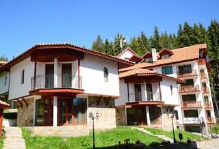 Шале Ski Villa in Pamporovo Forest Пампорово Шале-11