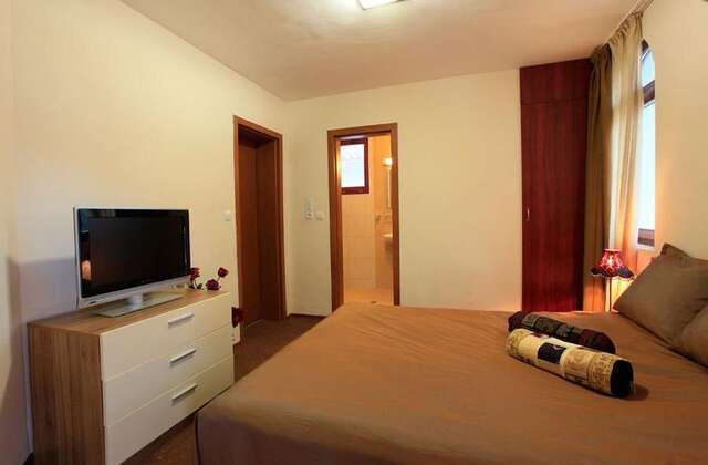 Шале Ski Villa in Pamporovo Forest Пампорово-27